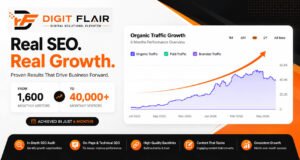 6 Months SEO Growth